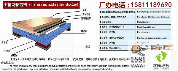 體育木地板區(qū)別于其它地板的特點