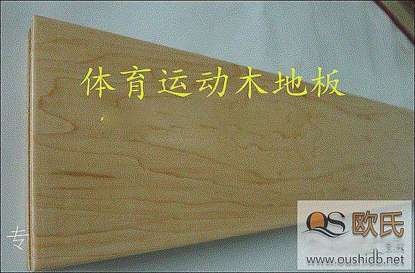 籃球木地板面面觀:藏匿在硬楓木地板背后的迷人細節(jié)