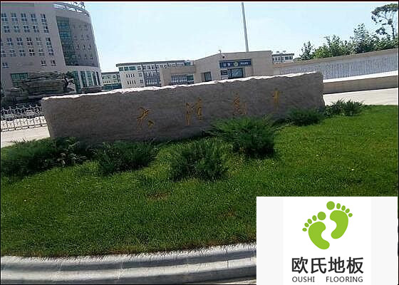 遼寧盤錦大洼高級(jí)中學(xué)籃球館體育木地板